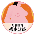 奶水分泌是人體自然現象與機制