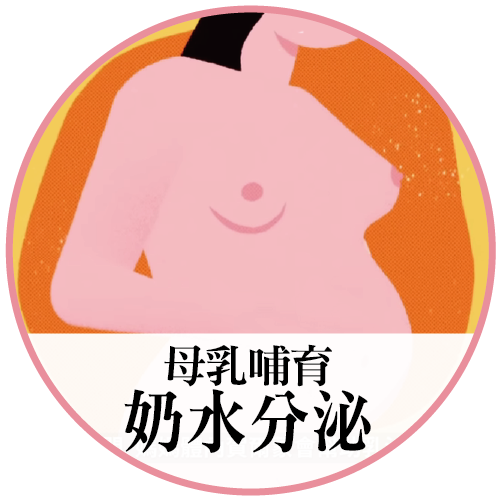 奶水分泌是人體自然現象與機制